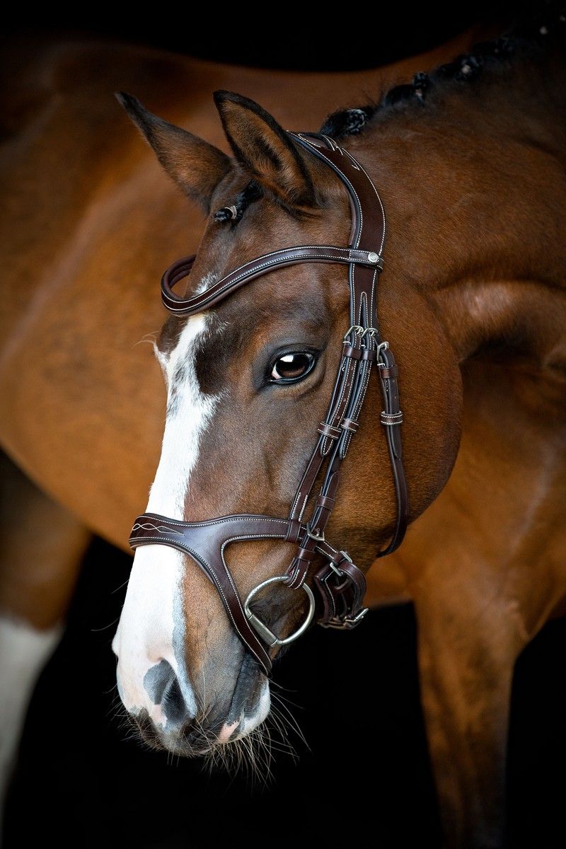 Monarch Bridle Organic Tanned - Brown Montar