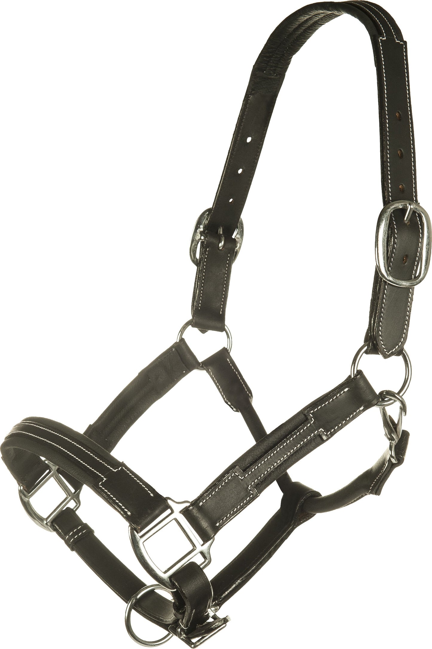 Licol cuir