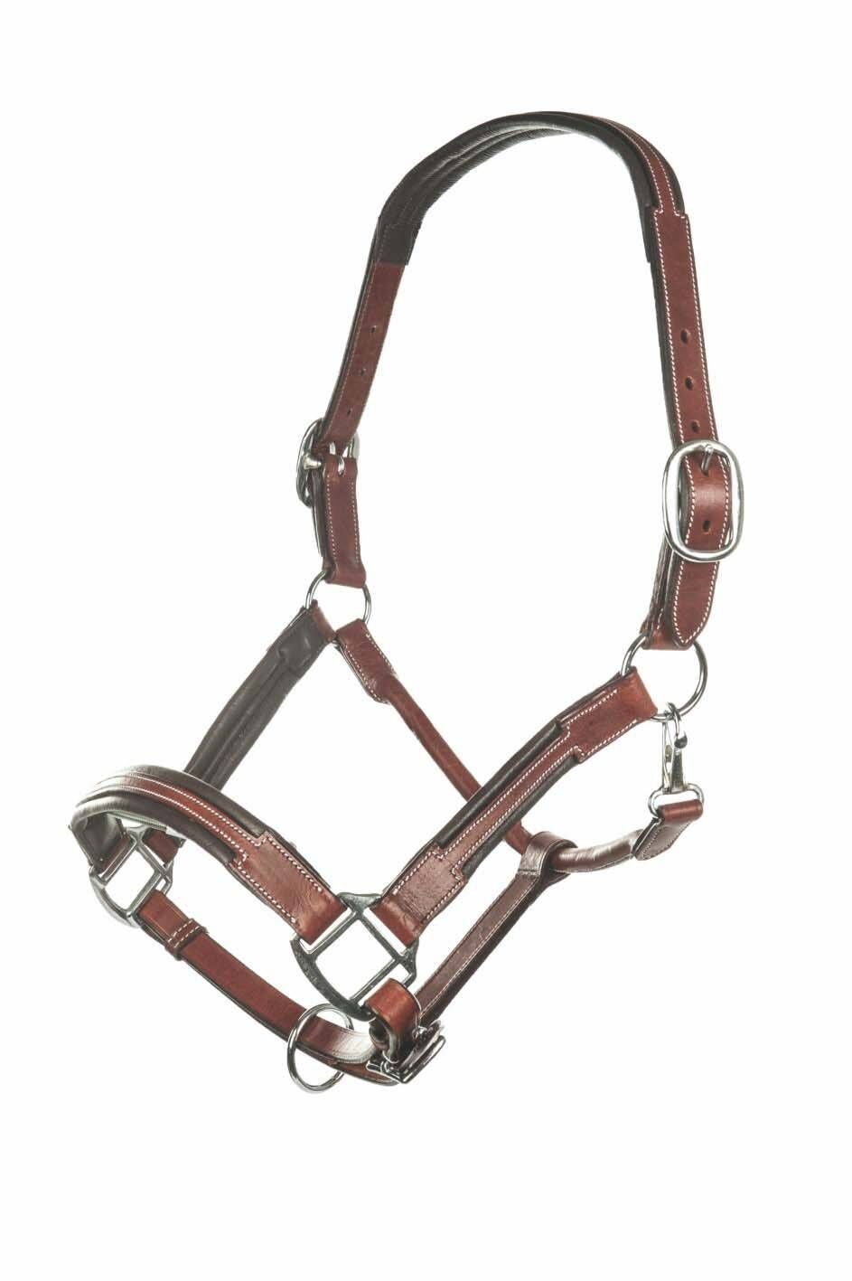 Licol cuir
