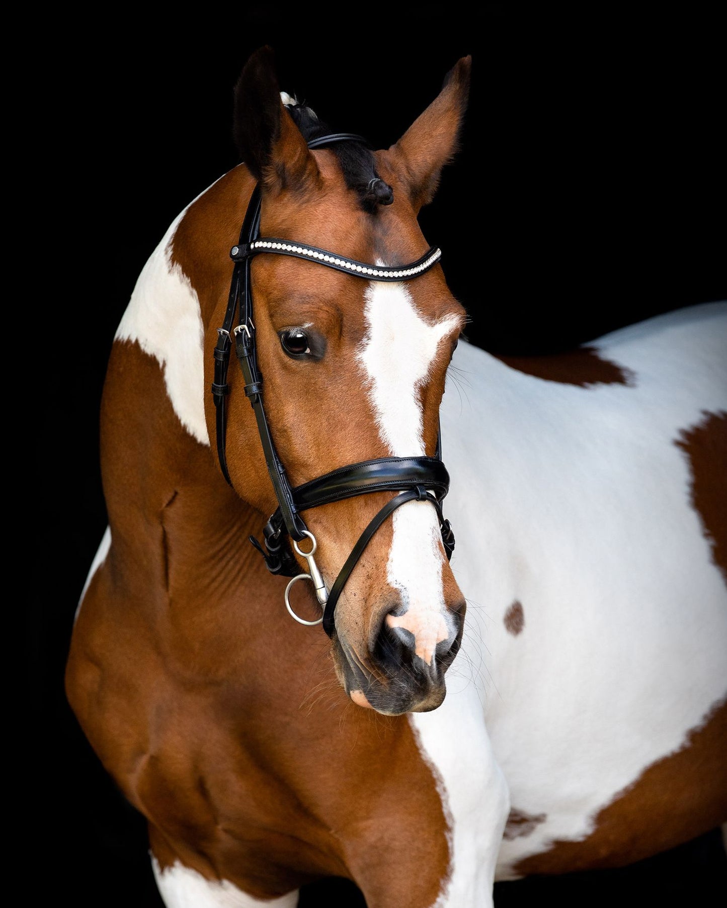 Fair Bridle w. Anatomic Neckpiece - Black Montar