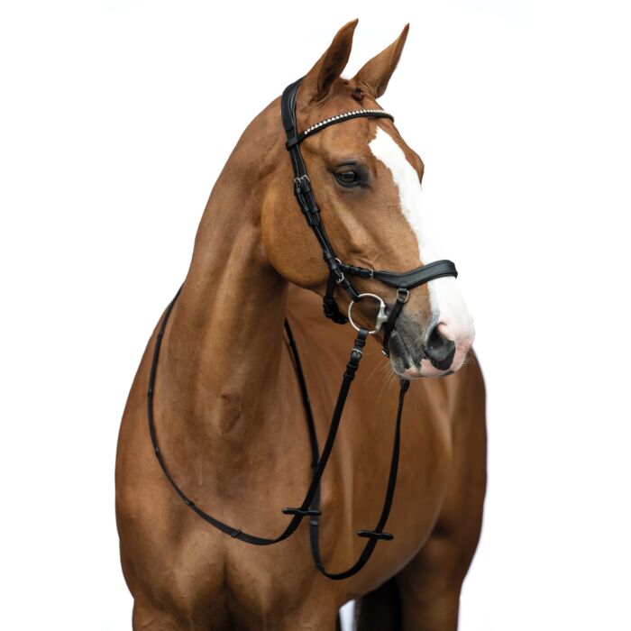 Bridon Pro Anatomic