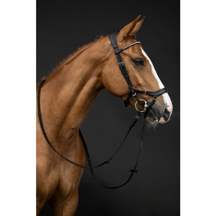 Bridon Pro Anatomic