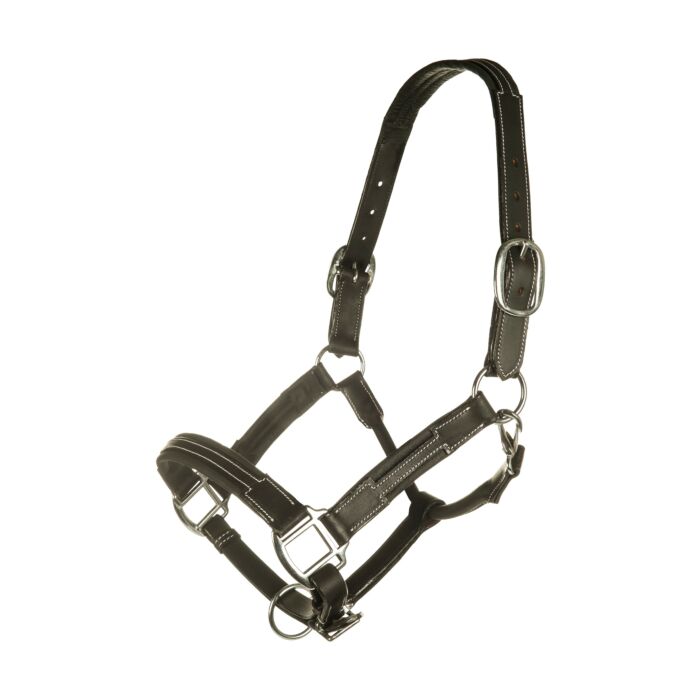 Licol en cuir -Soft- HKM