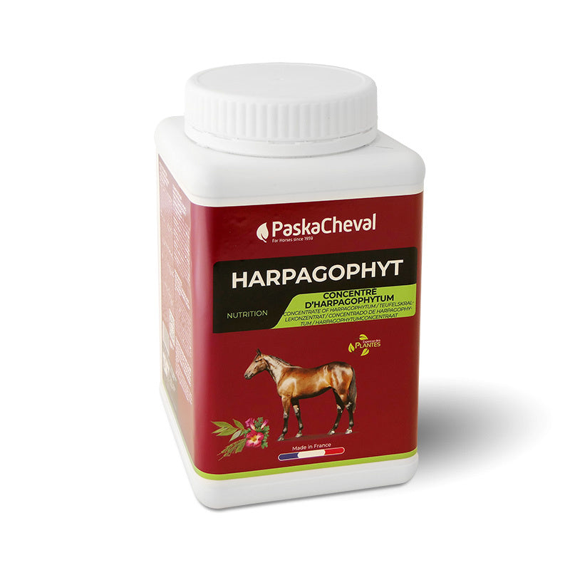 Harpagophyt 1Kg