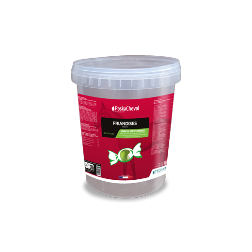 Friandise paskacheval seau 1,5L