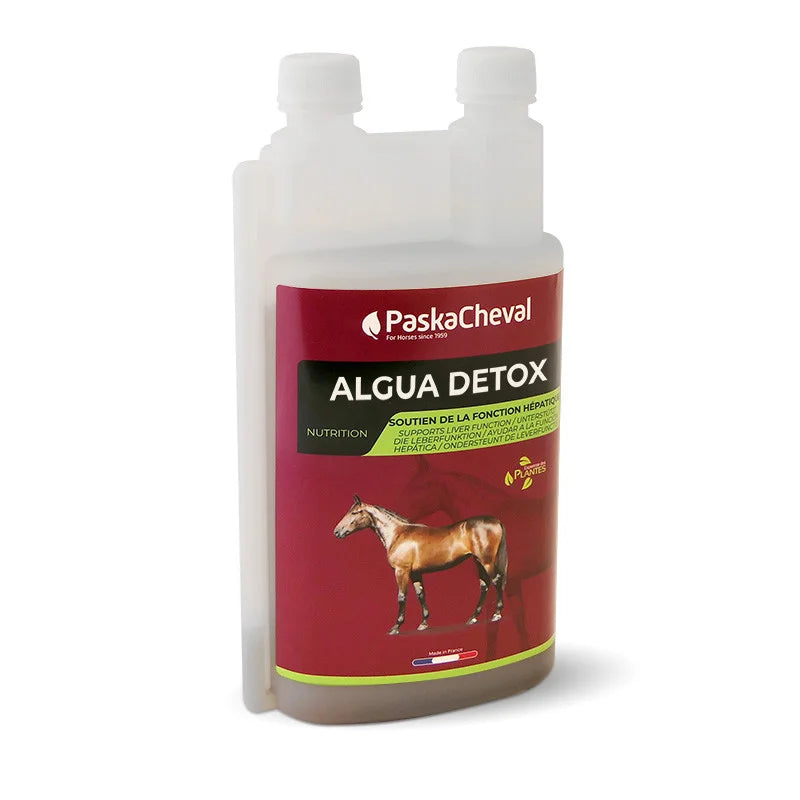 Algua Detox Paska Cheval