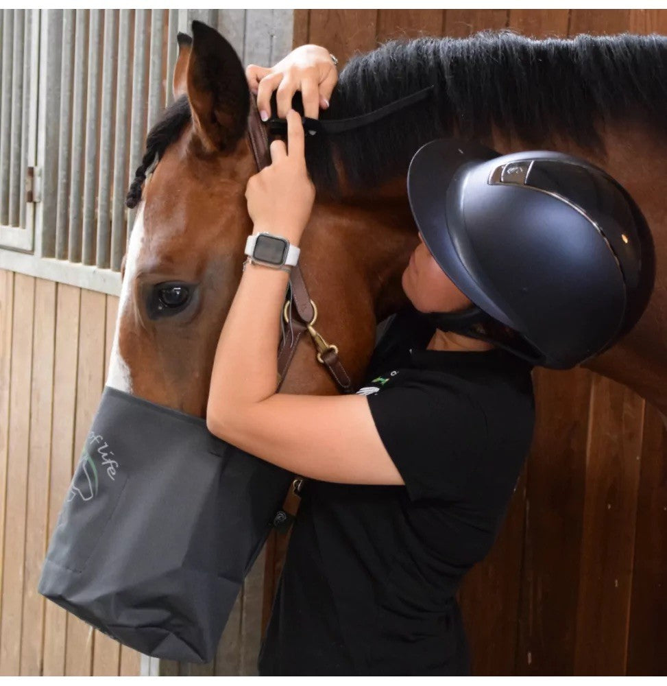 Mask'eol - Masque d'Inhalation pour chevaux & poneys