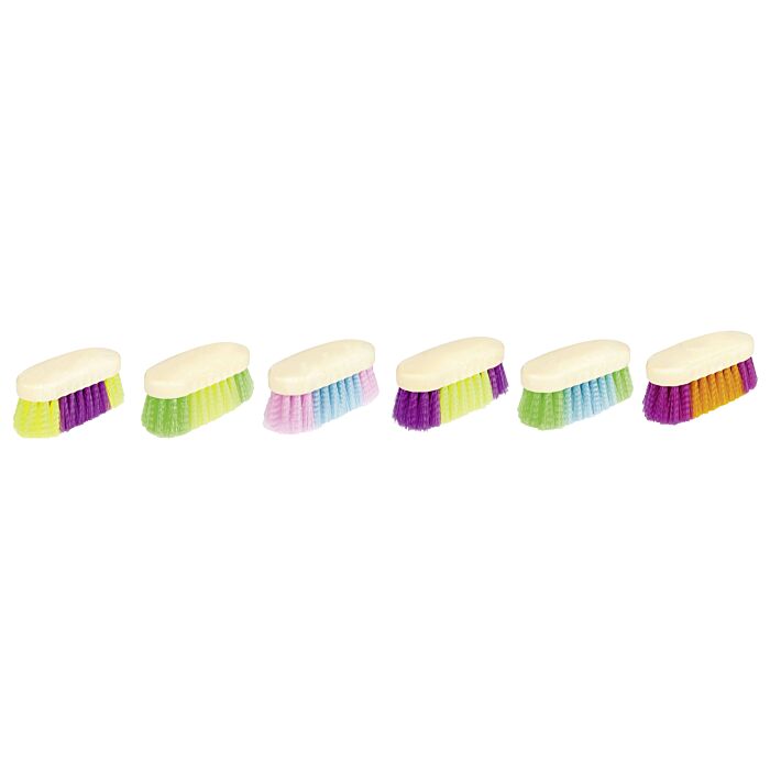 Brosse dure multicolore