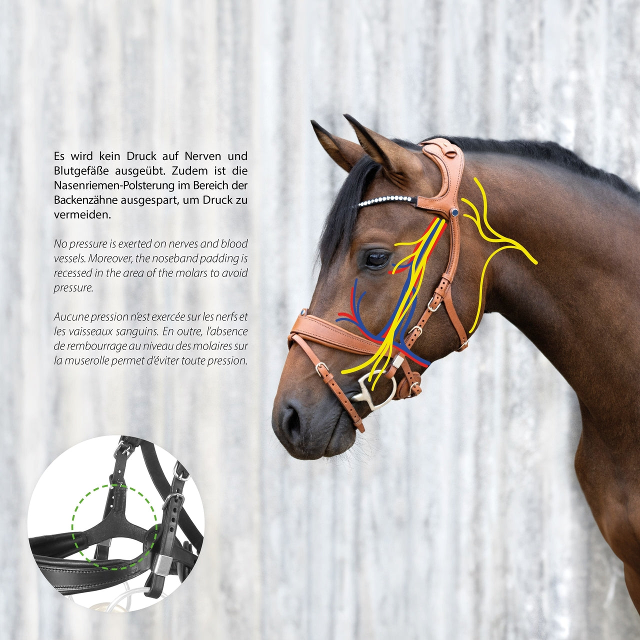 Freedom II Slide&Lock avec frontal a cristaux Stubben
