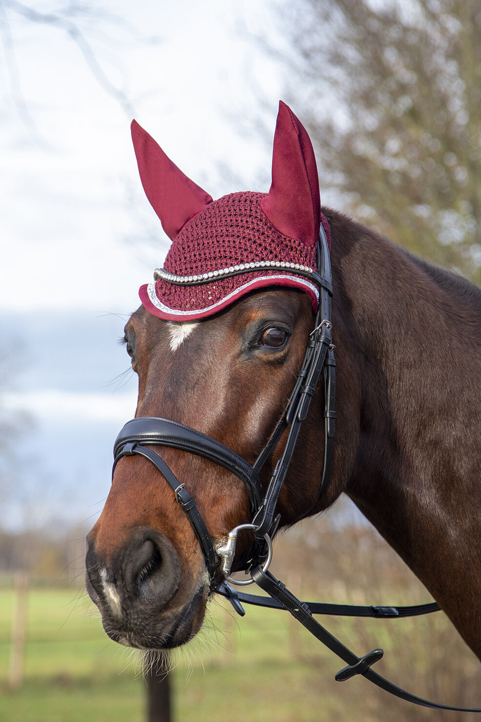 Bonnet d’oreille - Romy