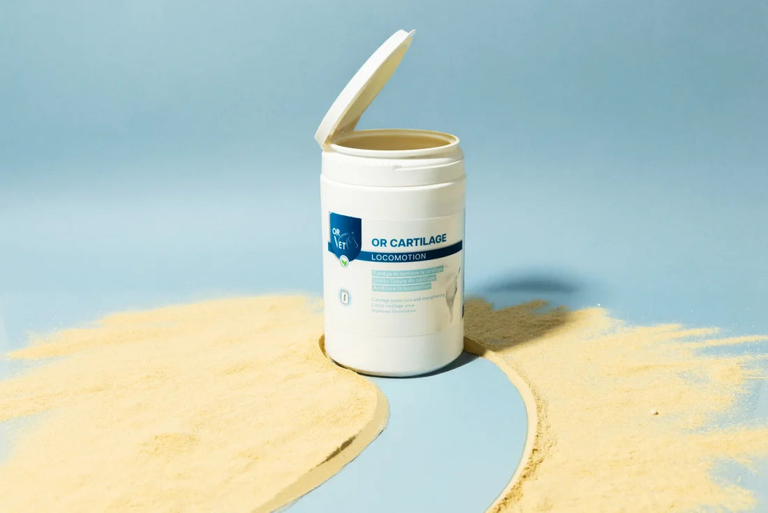 OR CARTILAGE - Formule avec MSM 750G