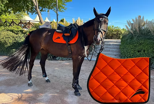 Tapis de selle EQUICK orange