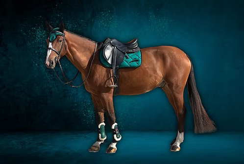 Tapis de selle EQUICK vert