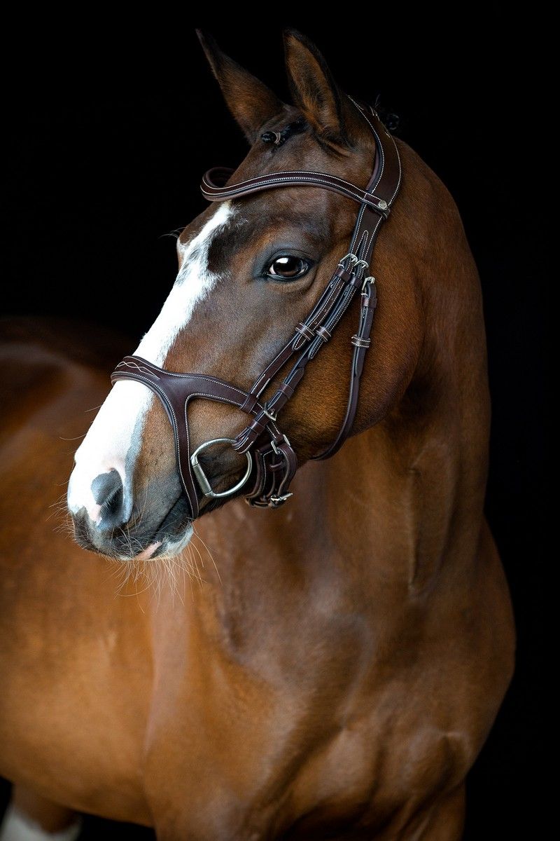 Monarch Bridle Organic Tanned - Brown Montar