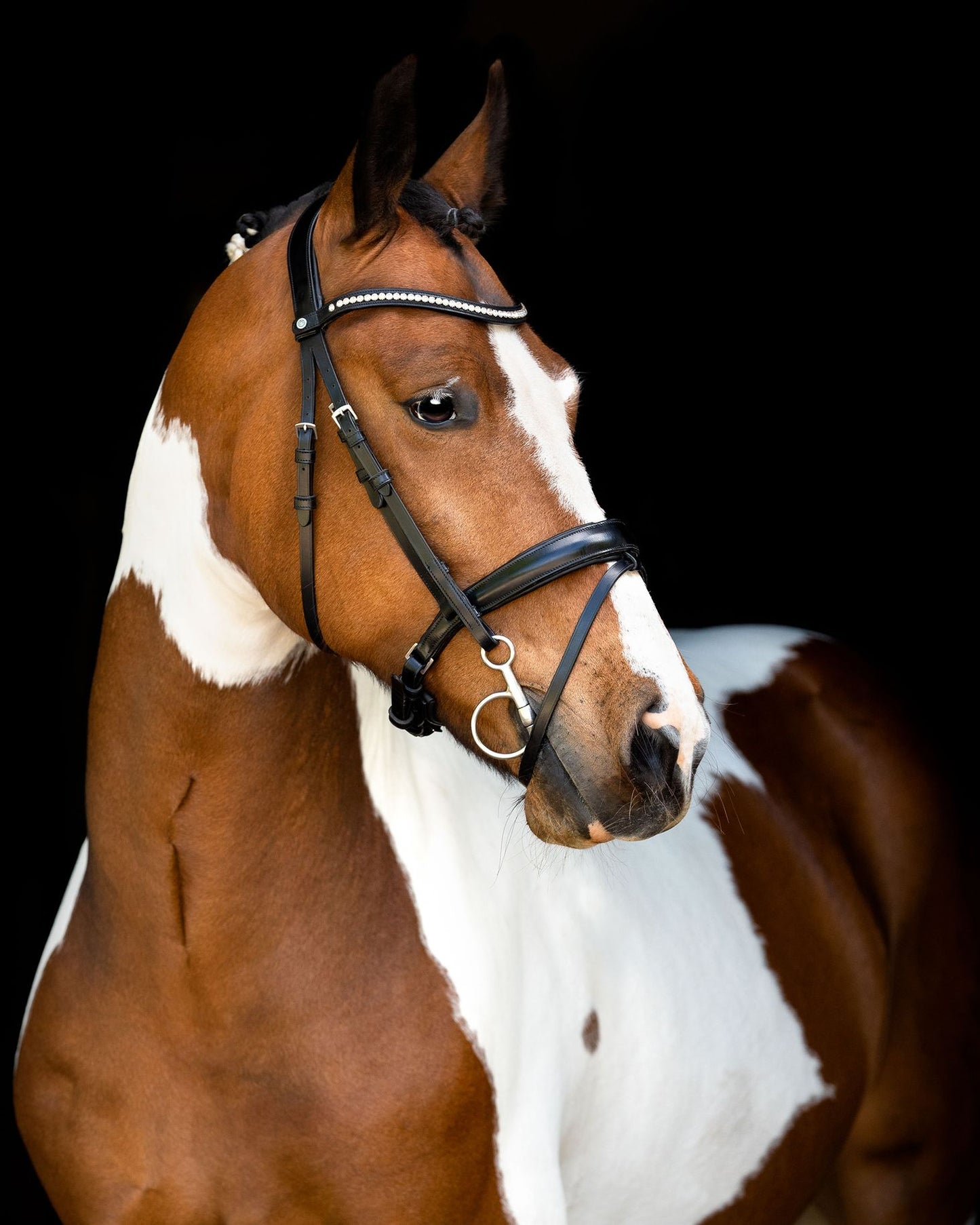 Fair Bridle w. Anatomic Neckpiece - Black Montar