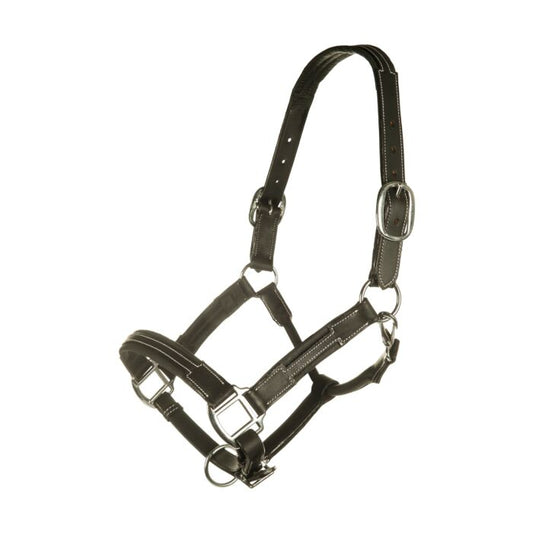 Licol en cuir -Soft- HKM