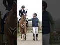 Collier de chasse -Cambridge- mouton synthétique- HKM