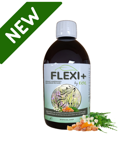 NEW! FLEXI+ by EOL - Aliment complémentaire pour Soutenir la mobilité des chevaux 500ML