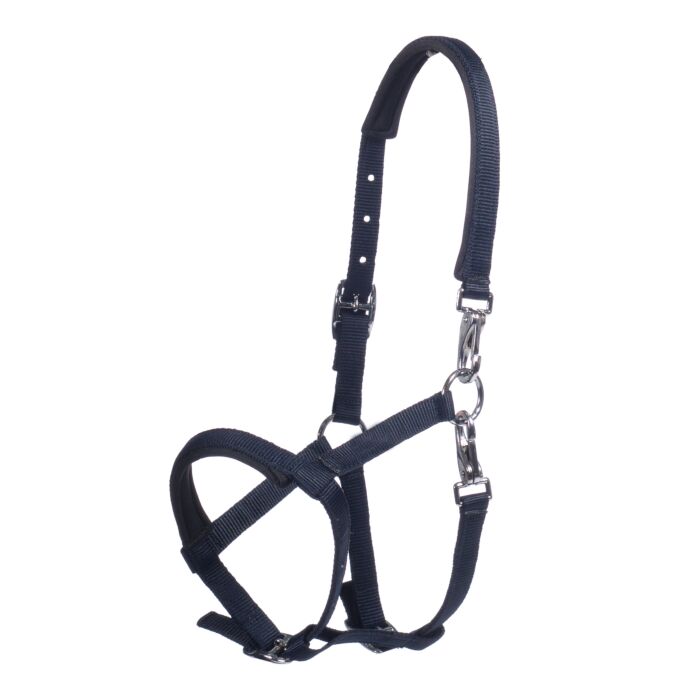 Licol poulain -Millie-HKM