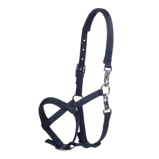 Licol poulain -Millie-HKM