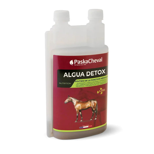 Algua Detox Paska Cheval