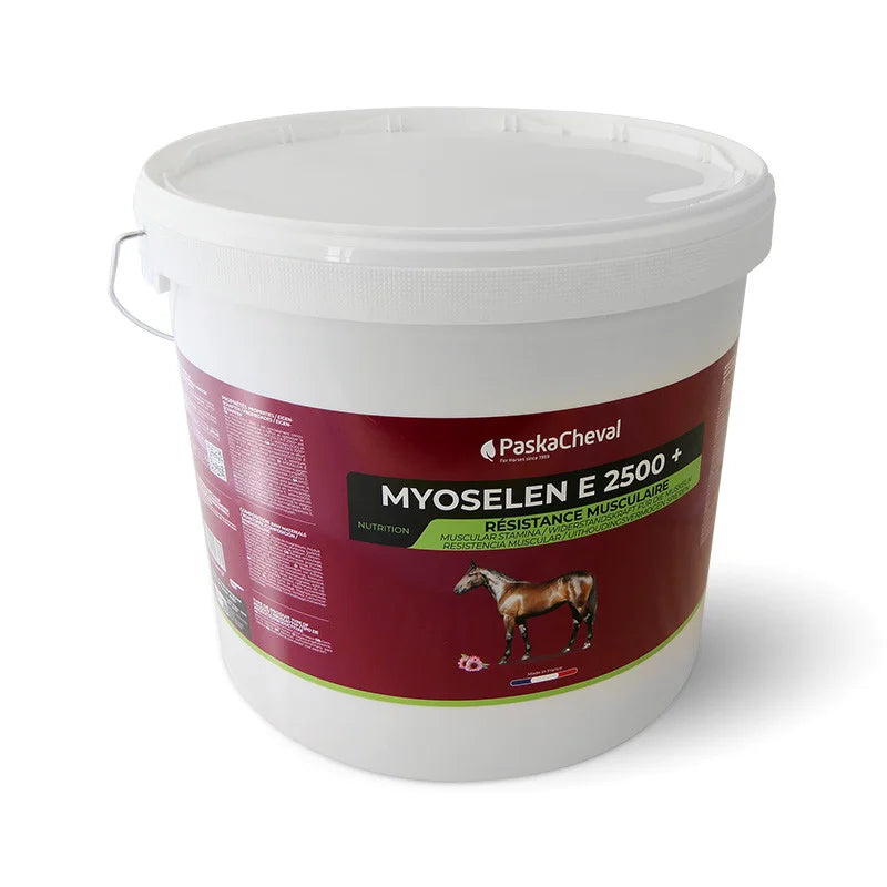 Myoselen E2500+ Paska Cheval 3KG