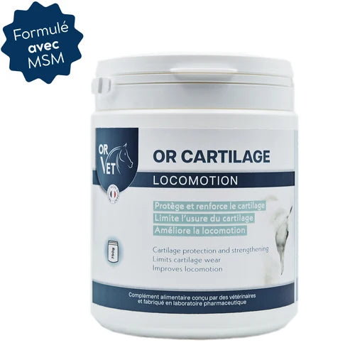 OR CARTILAGE - Formule avec MSM 750G